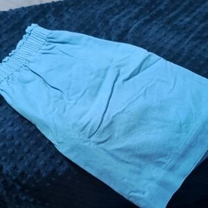 J. Crew Women's Blue Midi Skirt